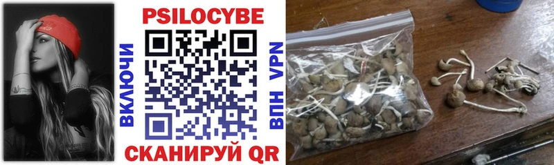 Галлюциногенные грибы Psilocybine cubensis  что такое наркотик  гидра ссылки  Навашино 